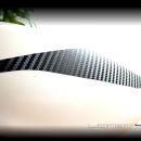 lionbit465 20160314