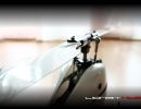 lionbit465 20160314
