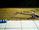 lionbit465 20160314