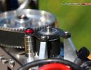lionbit700 20160505