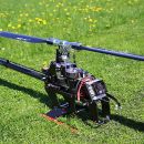 lionbit700 20160505