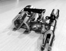 lionbit700 4 20160314