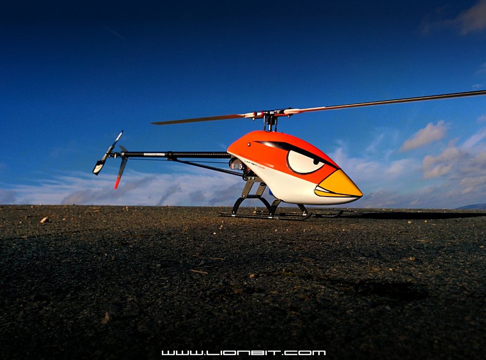 Angry Bird
